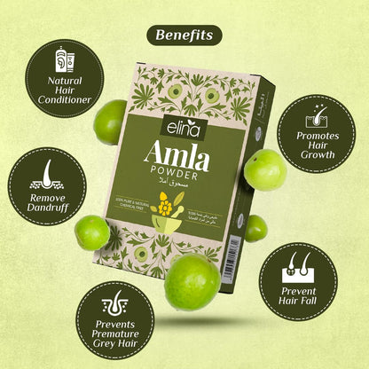Organic Herbal Hair Mask Combo for Healthy Scalp & Hair