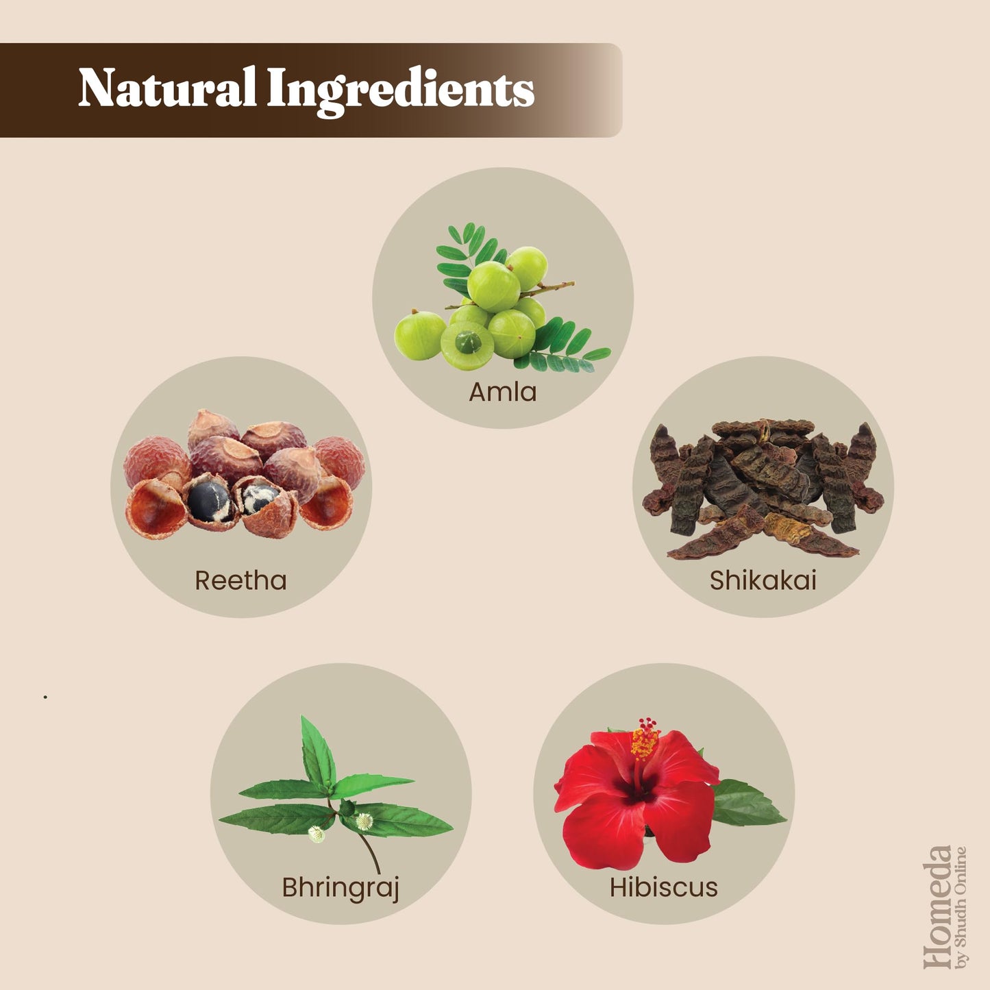 Amla, Reetha, Bhringraj, Shikakai & Hibiscus Powder Set 50g Each