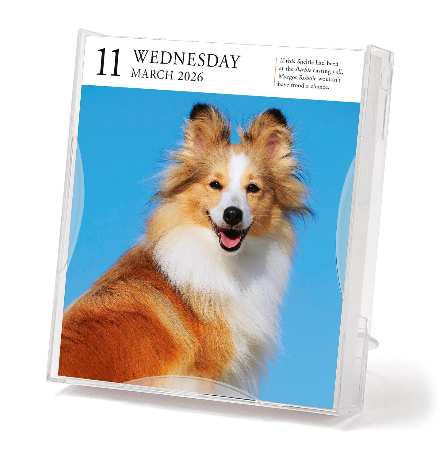 Dog Page-A-Day® Gallery Calendar 2026: An Elegant Canine Celebration 