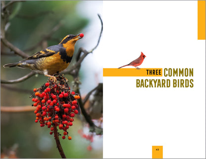 North American Bird Watching for Beginners: Field Notes on 150 Species to Start Your Birding Adventures (Bird Watching Adventures) 