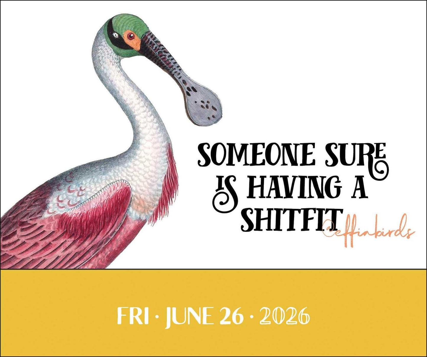Effin' Birds 2026 Day-to-Day Calendar 