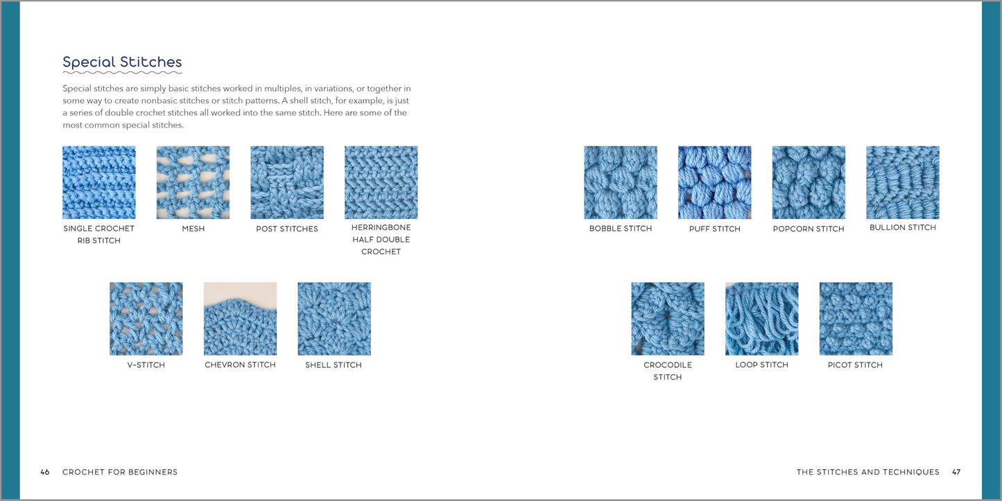 Crochet for Beginners: A Stitch Dictionary with Step-by-Step Illustrations and 10 Easy Projects 