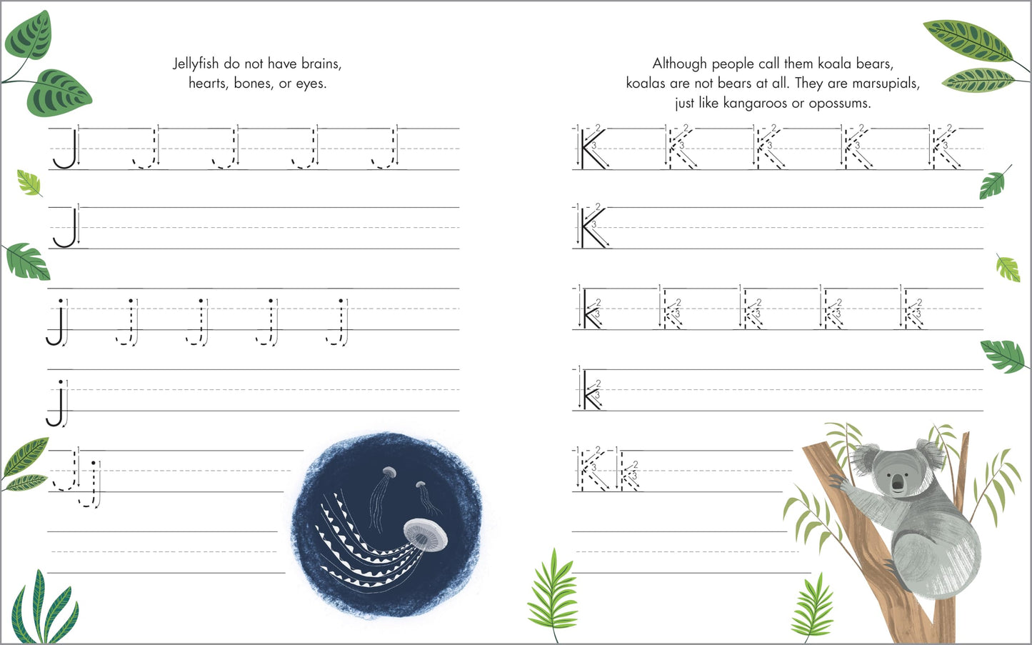The Print Penmanship Workbook for Kids: Improve Your Handwriting with Fun Animal Facts