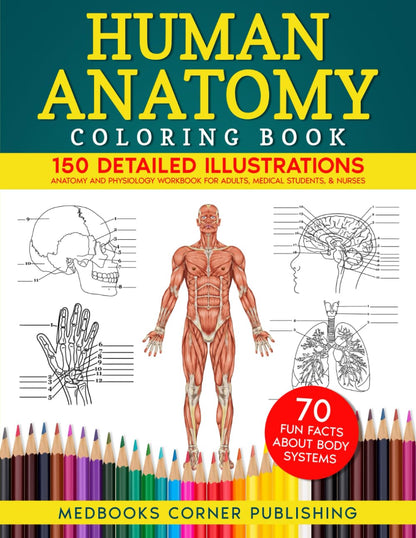 Human Anatomy Coloring Book: 150 Detailed Illustrations & 70 Fascinating Facts in an Anatomy and Physiology Workbook for Adults, Medical Students, & Nurses Focused on Advanced Body Systems Learning
