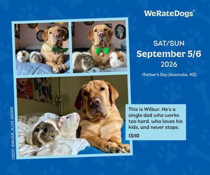 WeRateDogs 2026 Day-to-Day Calendar