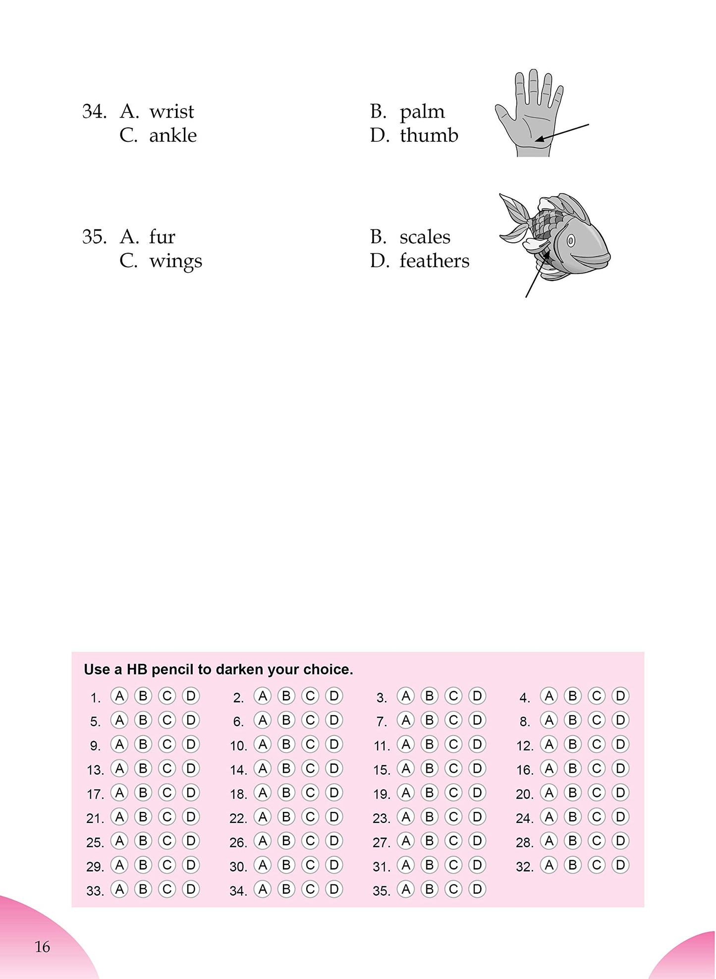 English Olympiad Challenger-2.