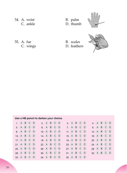 English Olympiad Challenger-2.