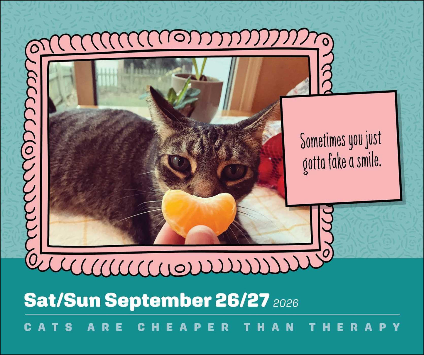 Cats Are Cheaper Than Therapy 2026 Day-to-Day Calendar: More Than 365 Cats 