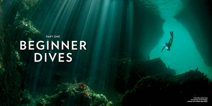 100 Dives of a Lifetime: The World's Ultimate Underwater Destinations (100 of a Lifetime) 