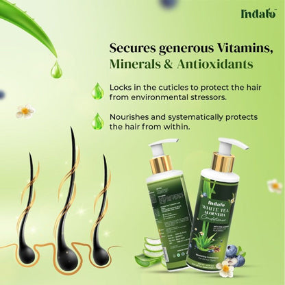 Indalo White Tea Aloe Vera Conditioner For Oily Hair