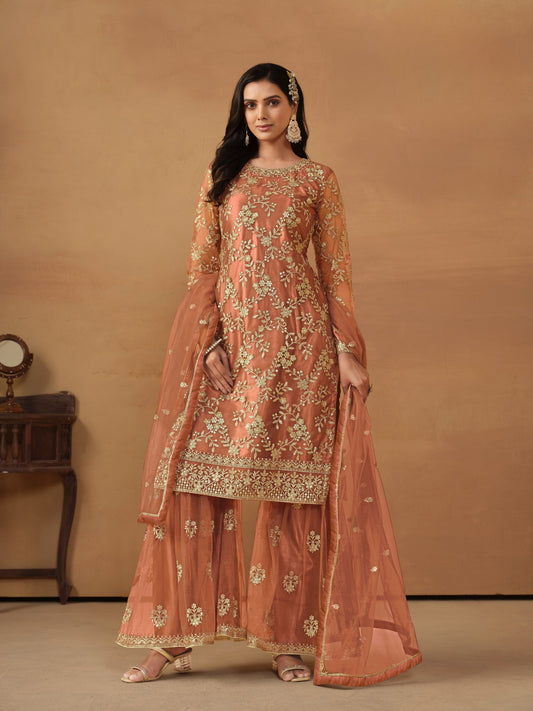 Anaita Brown Embroidered Net Salwar Suit
