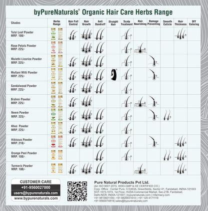 byPureNaturals Organic Hair Coloring Kit