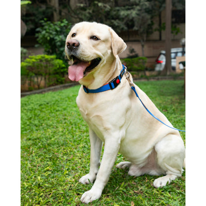 Waggety Dog Leash - Durable Blue Polyester, Length - 5Ft, Comfortable Grip, Stylish Pet Leash for Dogs