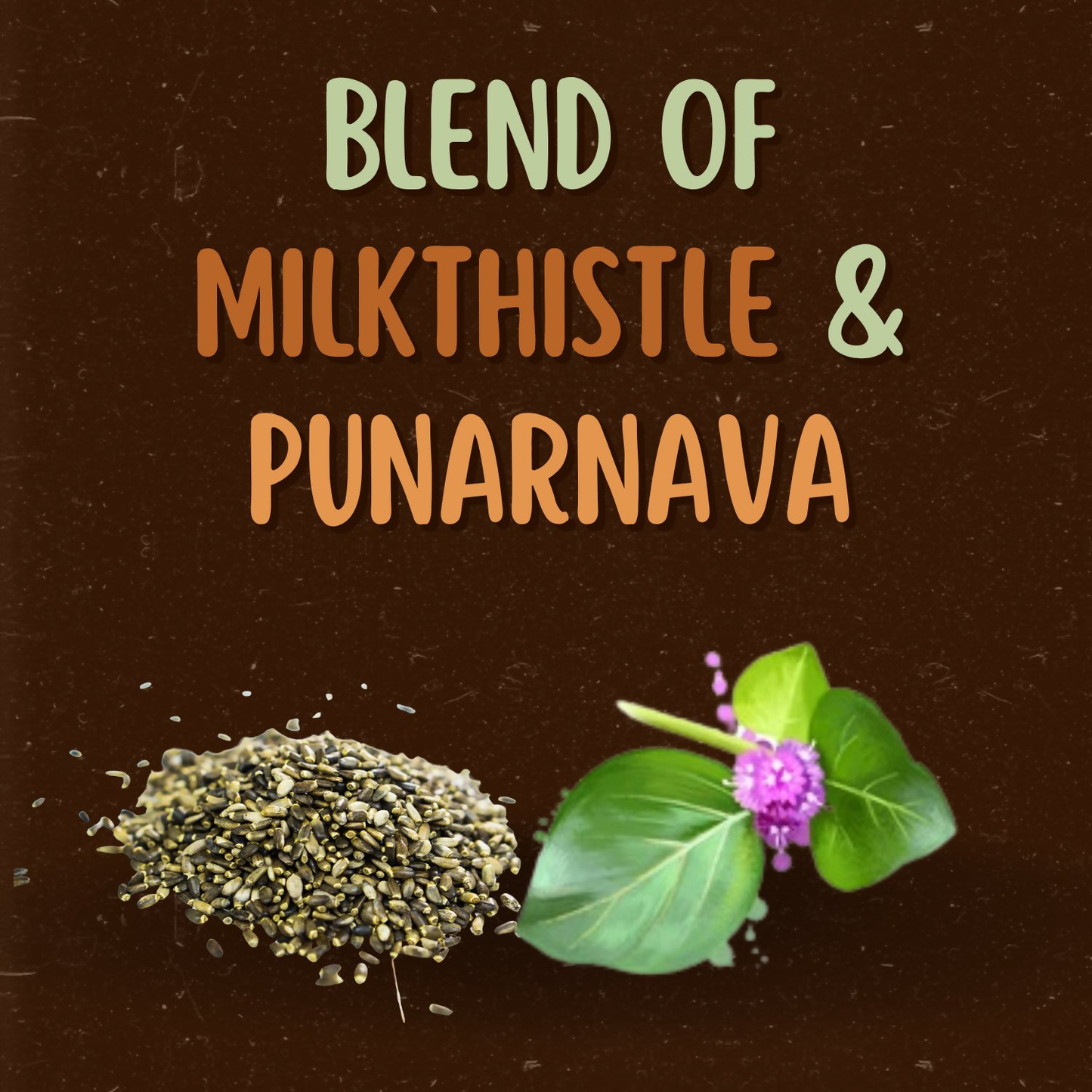 Satvi Wellness Milkthistle Punarnava Herbal Infusion Mix In Indvidual Packets | Herbal Tea Sachet