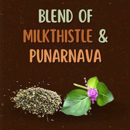 Satvi Wellness Milkthistle Punarnava Herbal Infusion Mix In Indvidual Packets | Herbal Tea Sachet