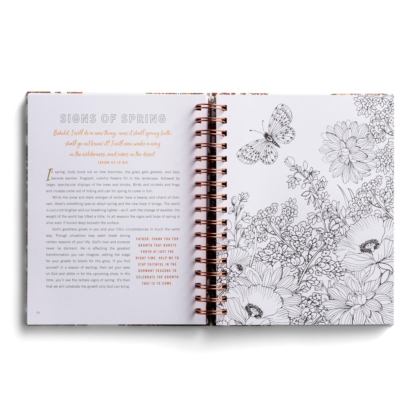 Set Your Mind on Things Above: Devotional Coloring Book