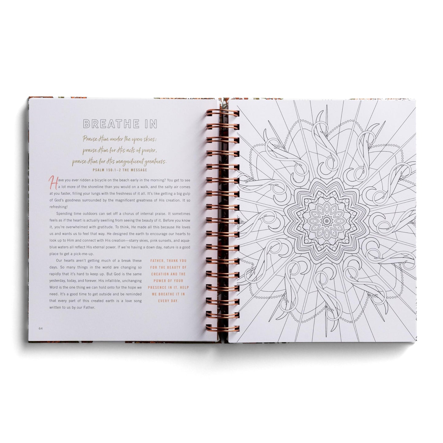 Set Your Mind on Things Above: Devotional Coloring Book