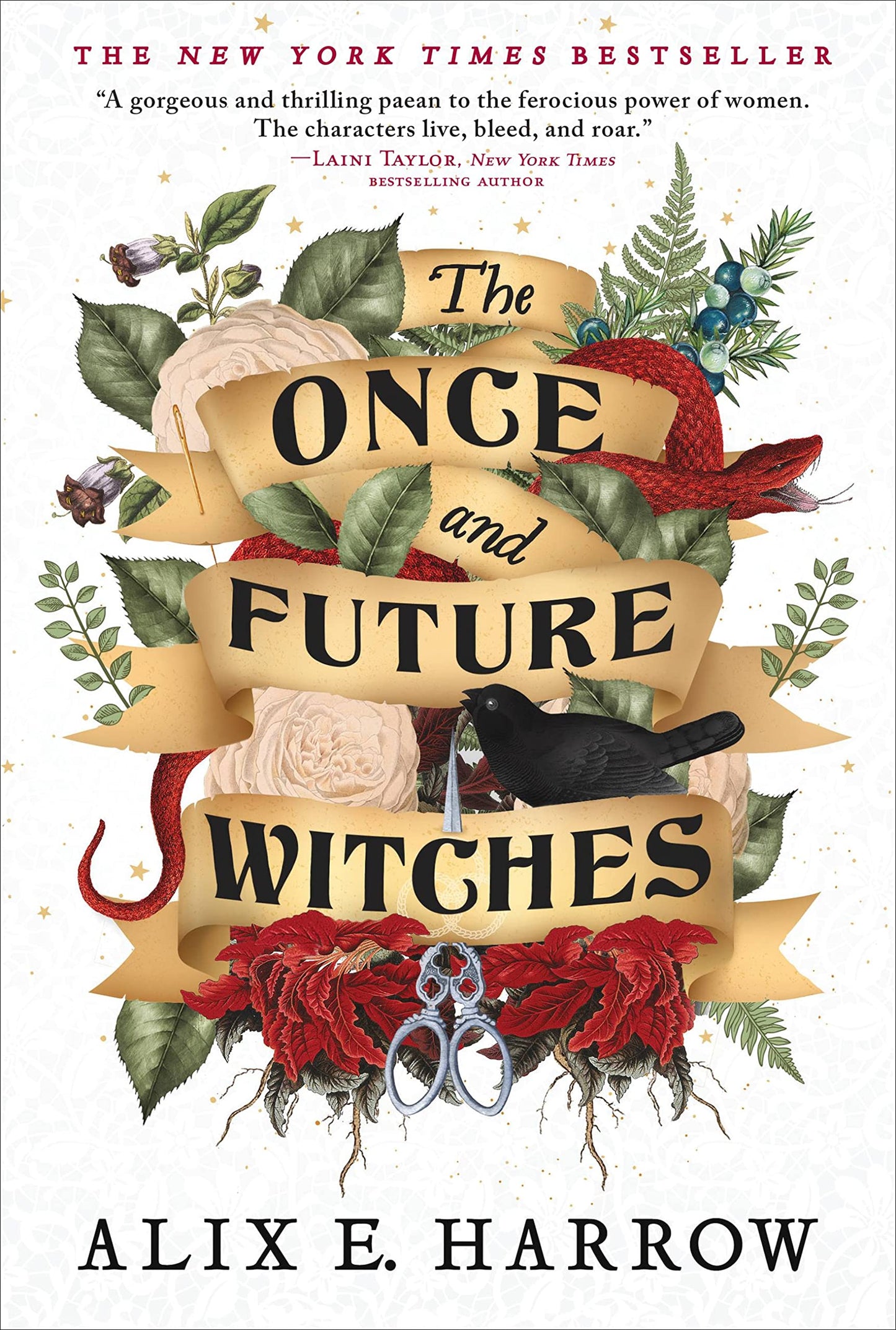 The Once and Future Witches 