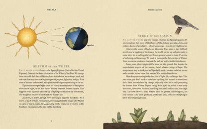 The Wheel of the Year: An Illustrated Guide to Nature's Rhythms