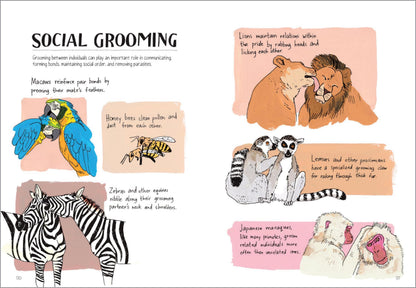 Wildlife Anatomy: The Curious Lives & Features of Wild Animals around the World 