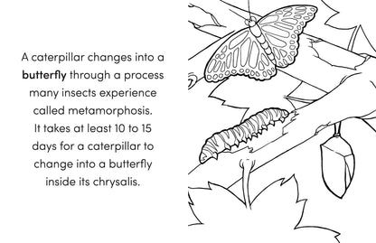 Bug Book for Kids: Coloring Fun and Awesome Facts (A Did You Know? Coloring Book) 