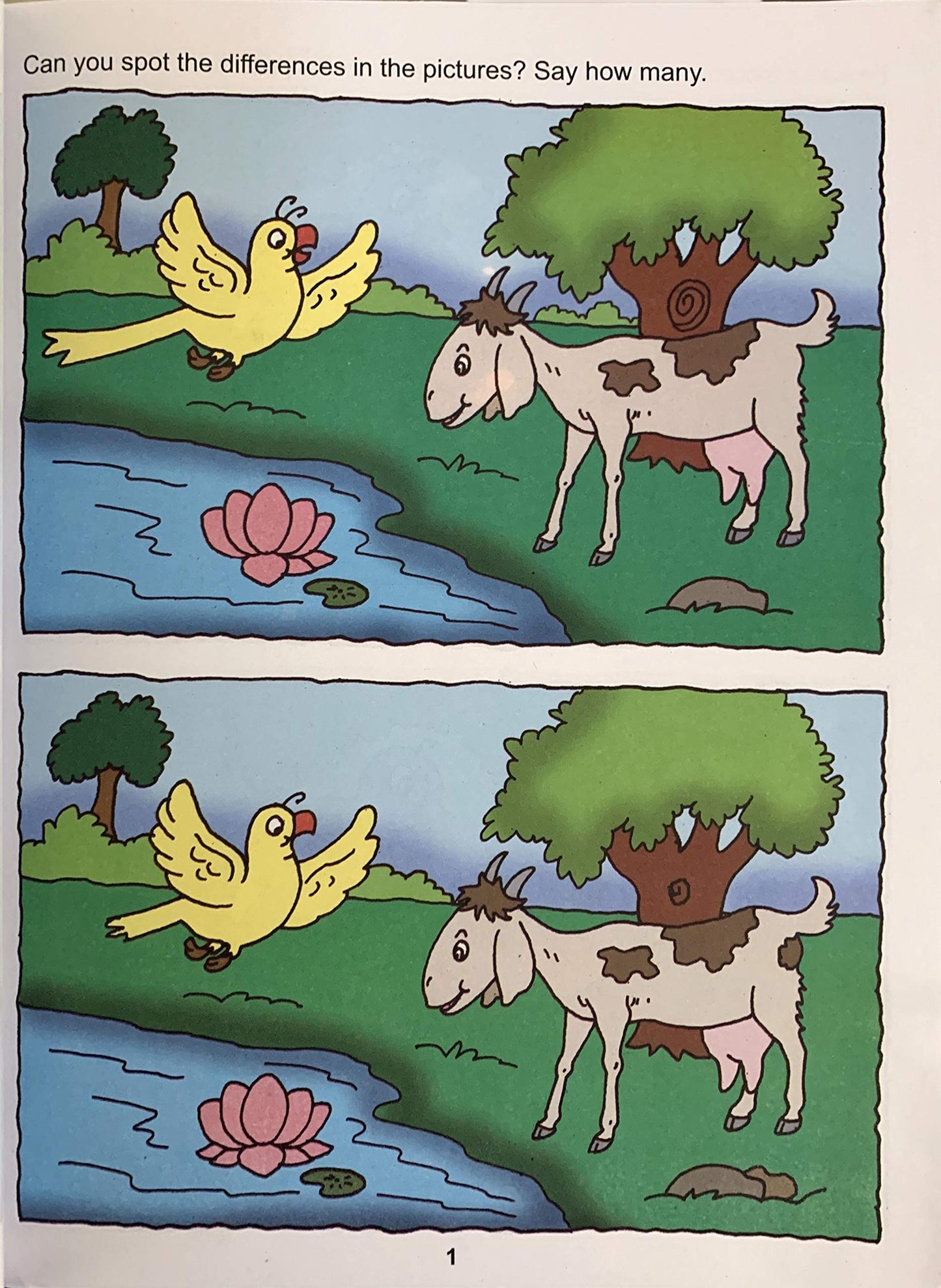 My Book Of Find The Differences.