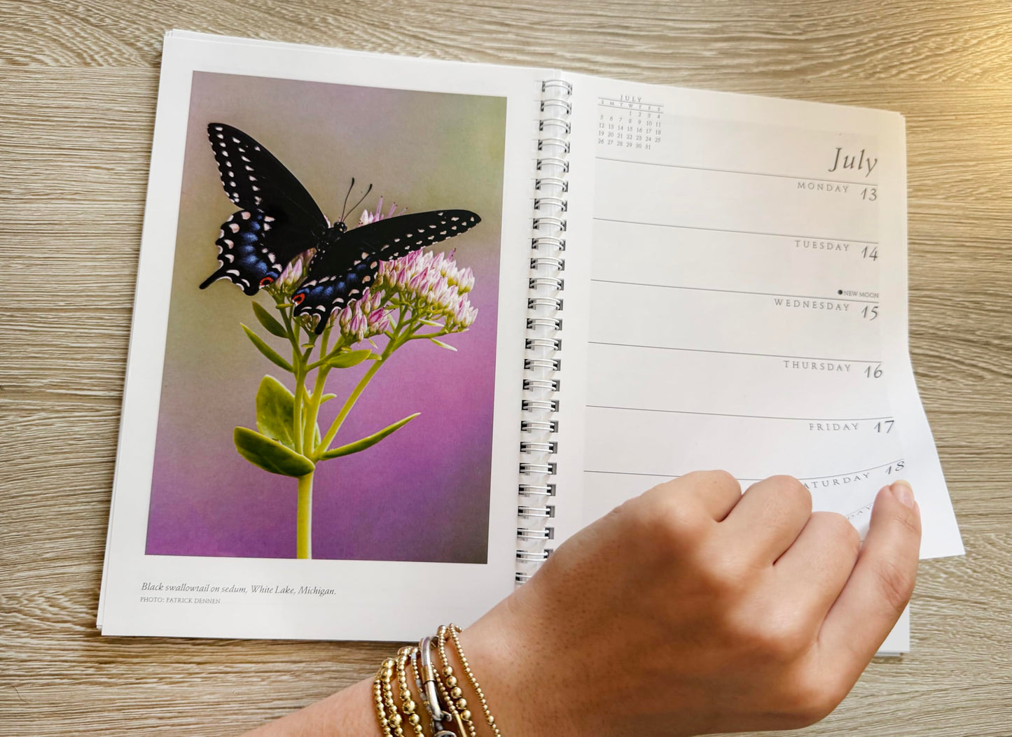 Sierra Club Engagement Calendar 2026 