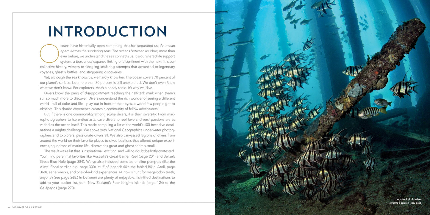 100 Dives of a Lifetime: The World's Ultimate Underwater Destinations (100 of a Lifetime) 