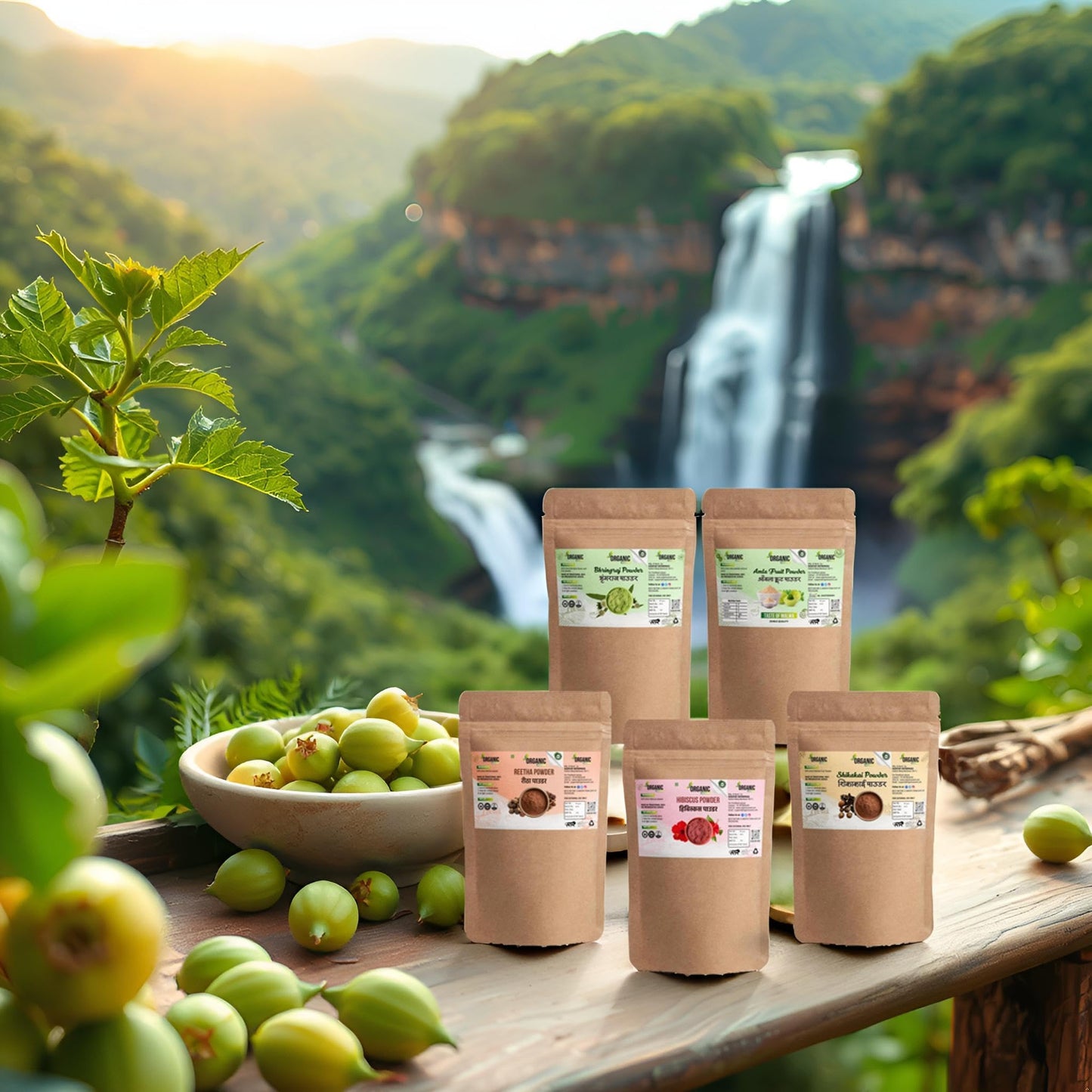 Herbal Hair Powder Set - Amla, Reetha, Shikakai & More (5 Pack)