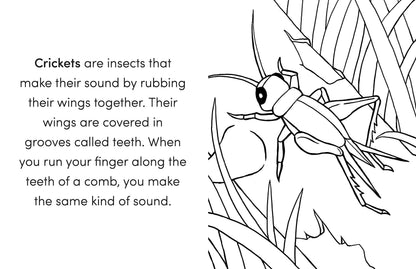 Bug Book for Kids: Coloring Fun and Awesome Facts (A Did You Know? Coloring Book) 
