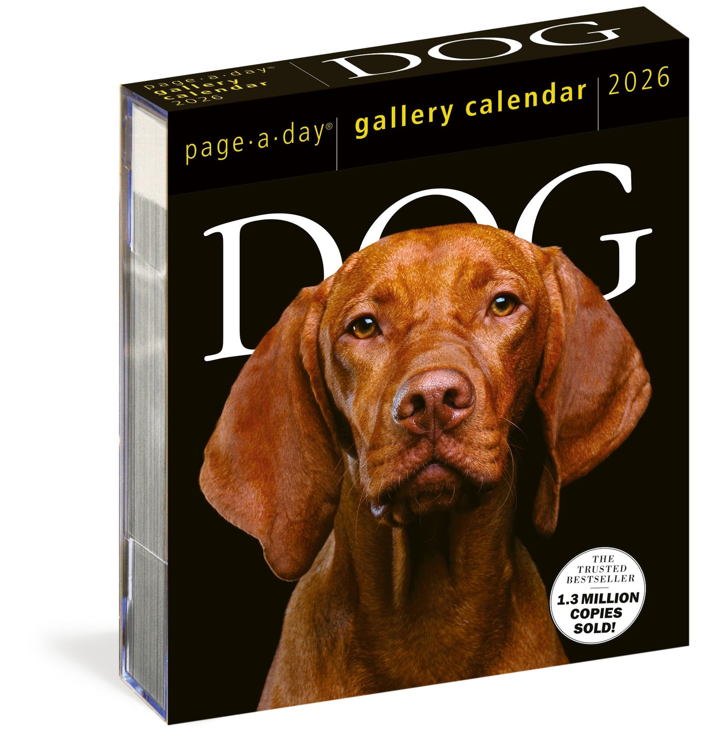 Dog Page-A-Day® Gallery Calendar 2026: An Elegant Canine Celebration 