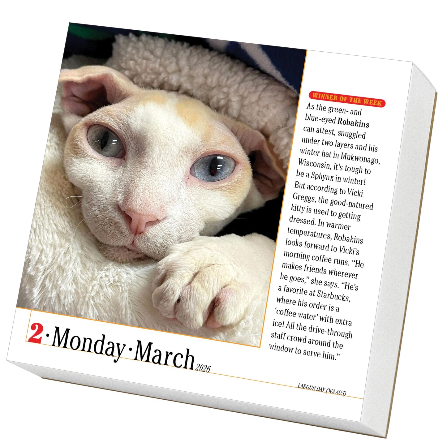 365 Cats Page-A-Day® Calendar 2026: The World's Favorite Cat Calendar