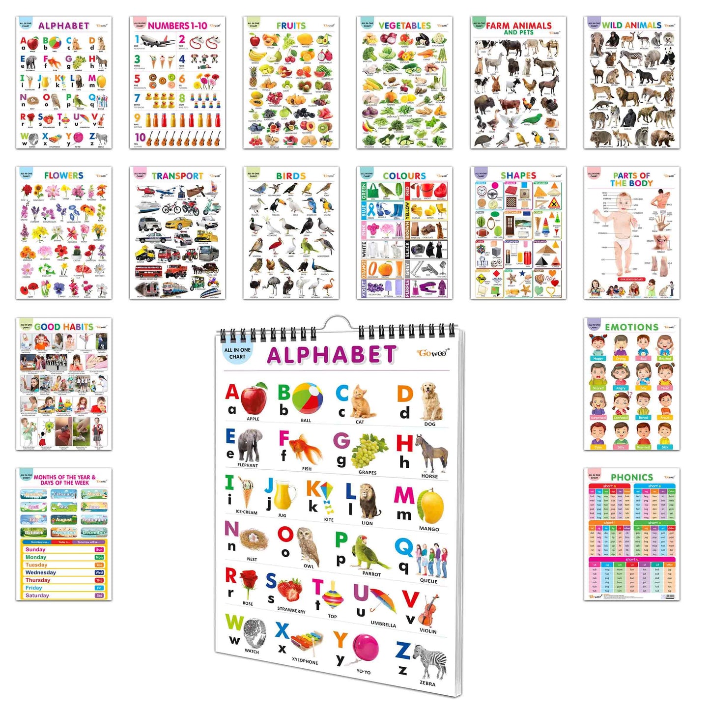 English Chart For Kids (16 Charts) 36 x 50 cm - Children Spiral Wall Picture Chart