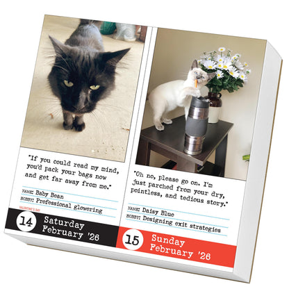 Bad Cat Page-A-Day® Calendar 2026: 365 Not-So-Pretty Kitties