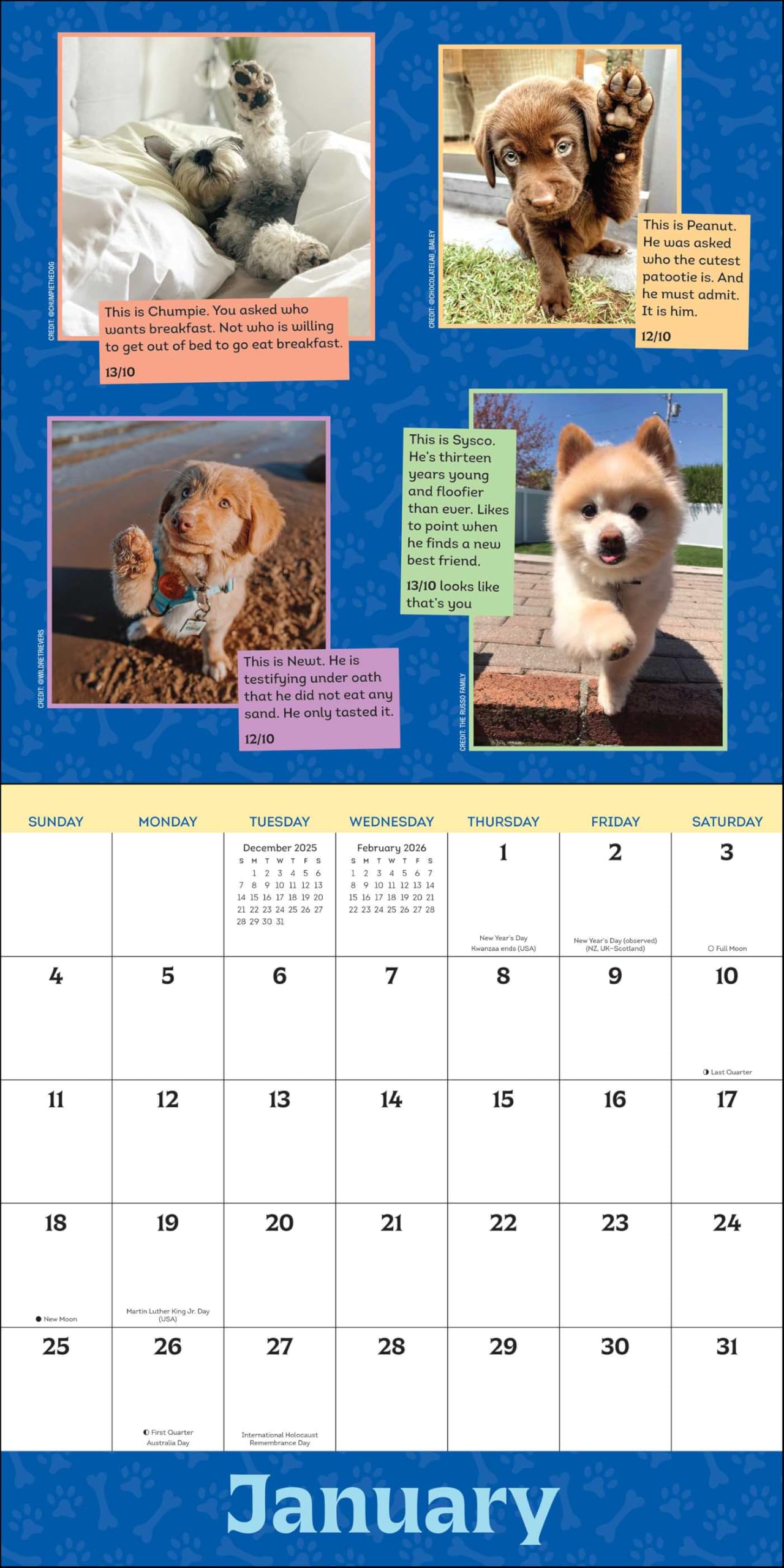 WeRateDogs 2026 Wall Calendar