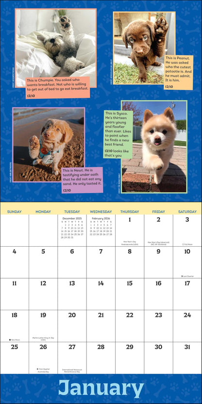 WeRateDogs 2026 Wall Calendar