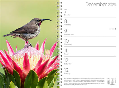 Audubon Engagement Calendar 2026: A Tribute to Nature and Its Spectacular Landscapes 