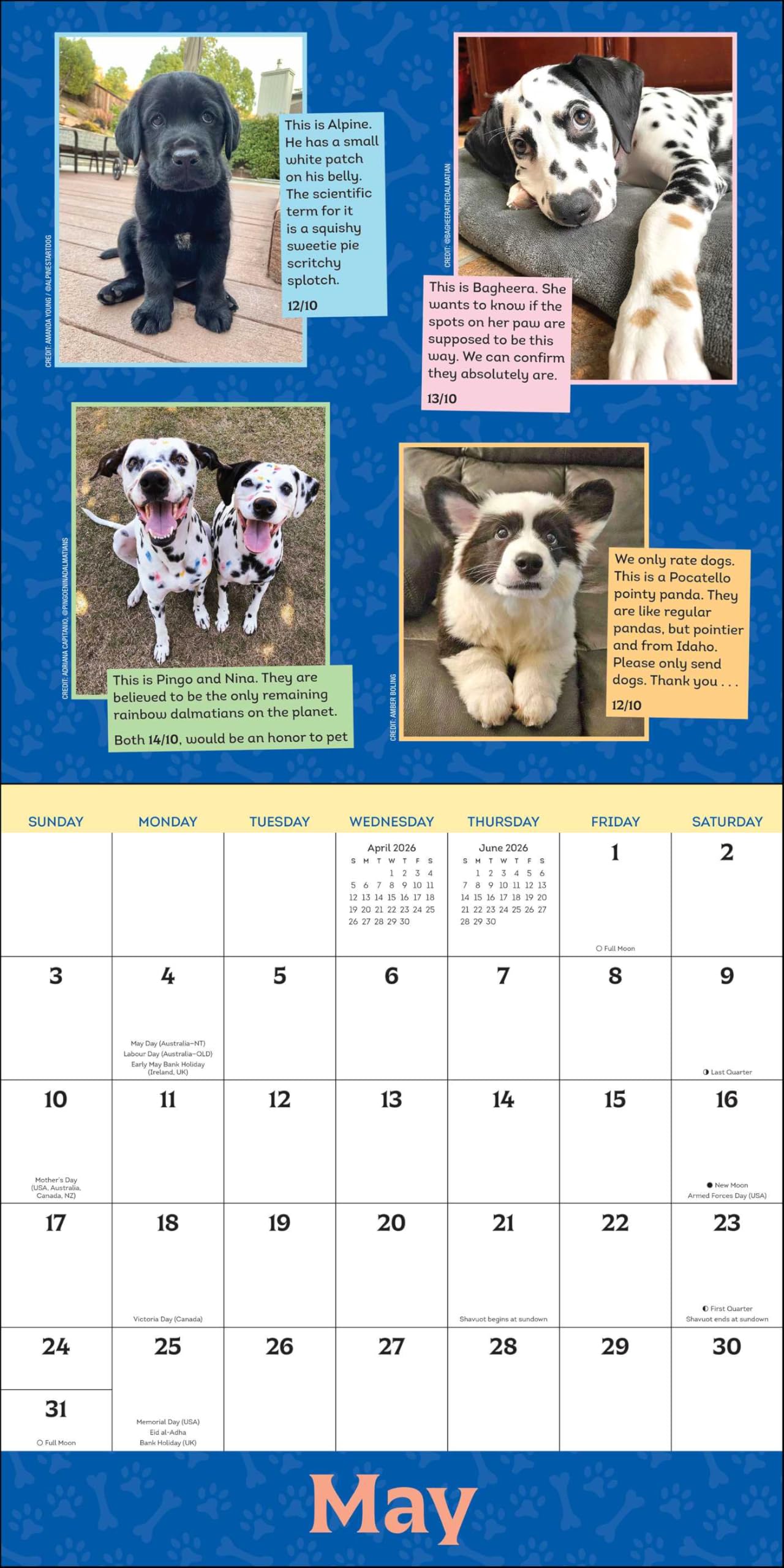 WeRateDogs 2026 Wall Calendar
