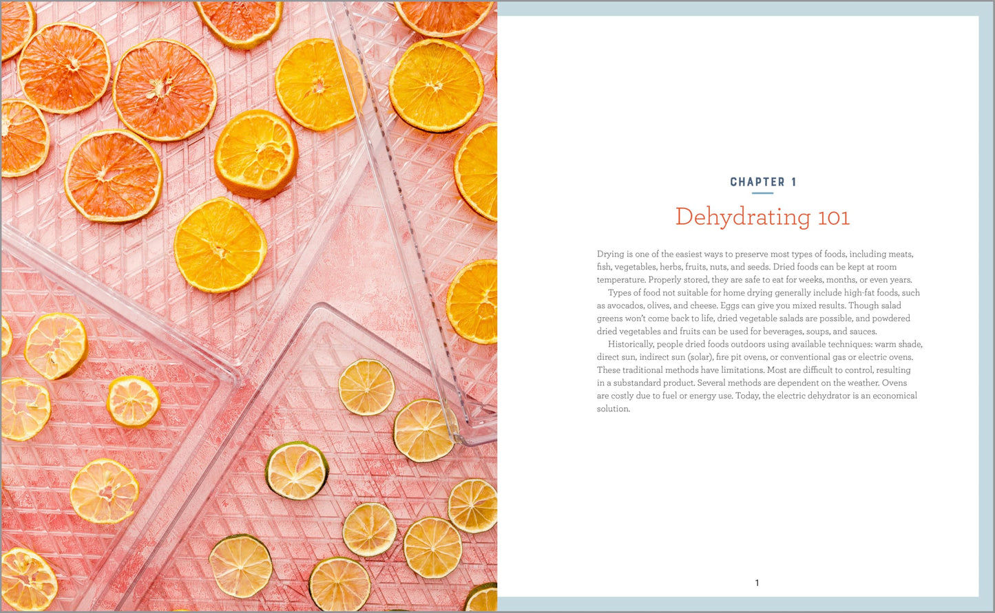 Complete Dehydrator Cookbook: How to Dehydrate Fruit, Vegetables, Meat & More 
