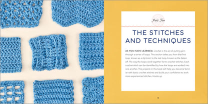 Crochet for Beginners: A Stitch Dictionary with Step-by-Step Illustrations and 10 Easy Projects 