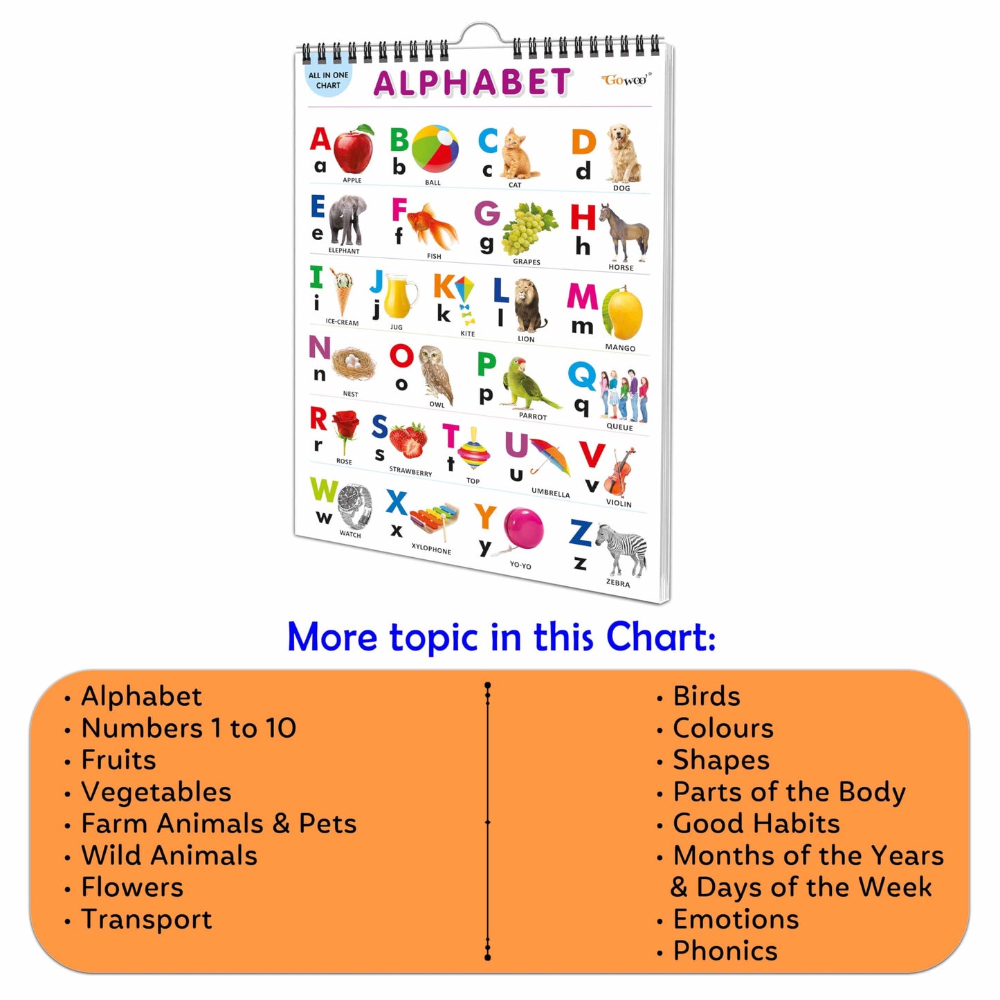 English Chart For Kids (16 Charts) 36 x 50 cm - Children Spiral Wall Picture Chart
