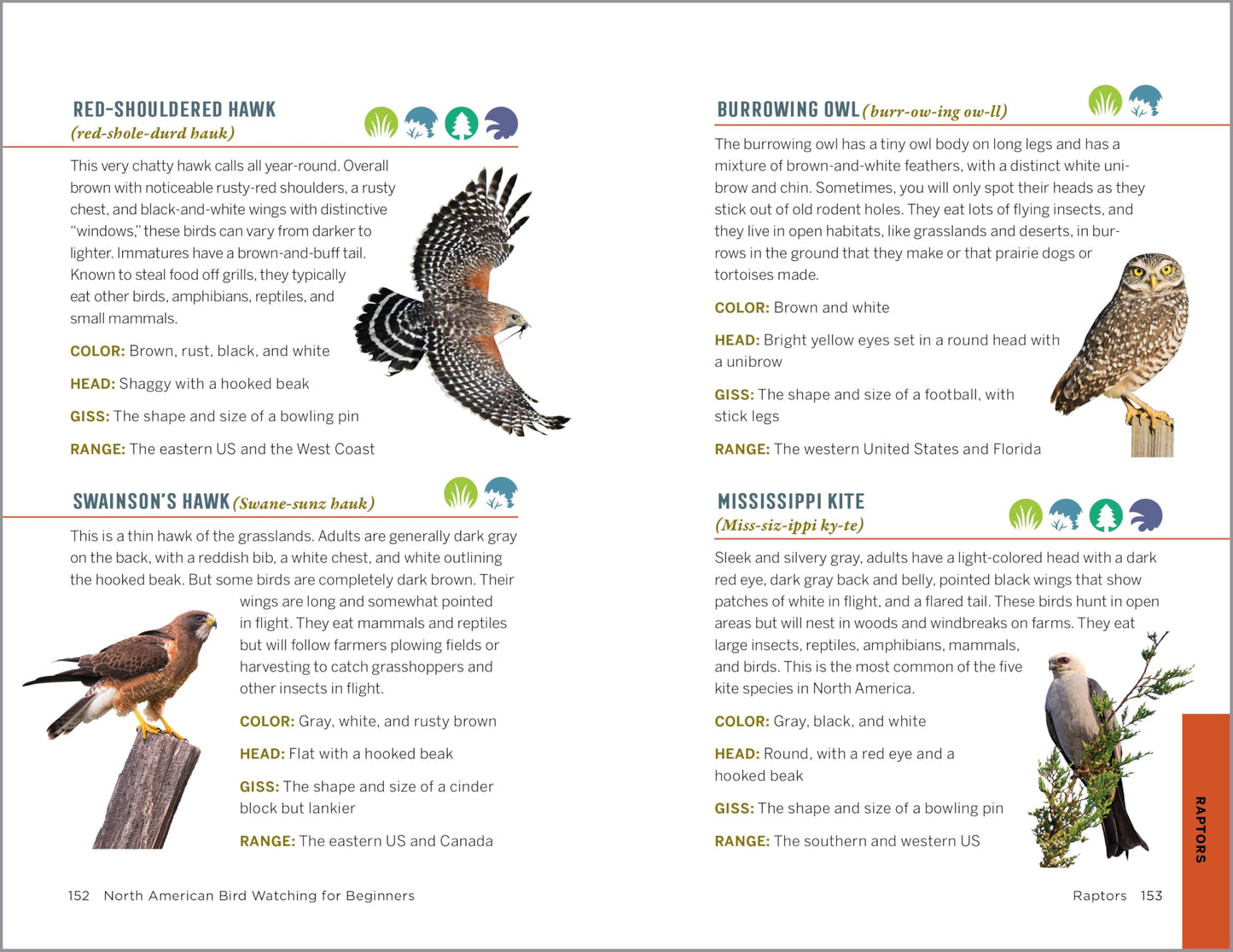 North American Bird Watching for Beginners: Field Notes on 150 Species to Start Your Birding Adventures (Bird Watching Adventures) 