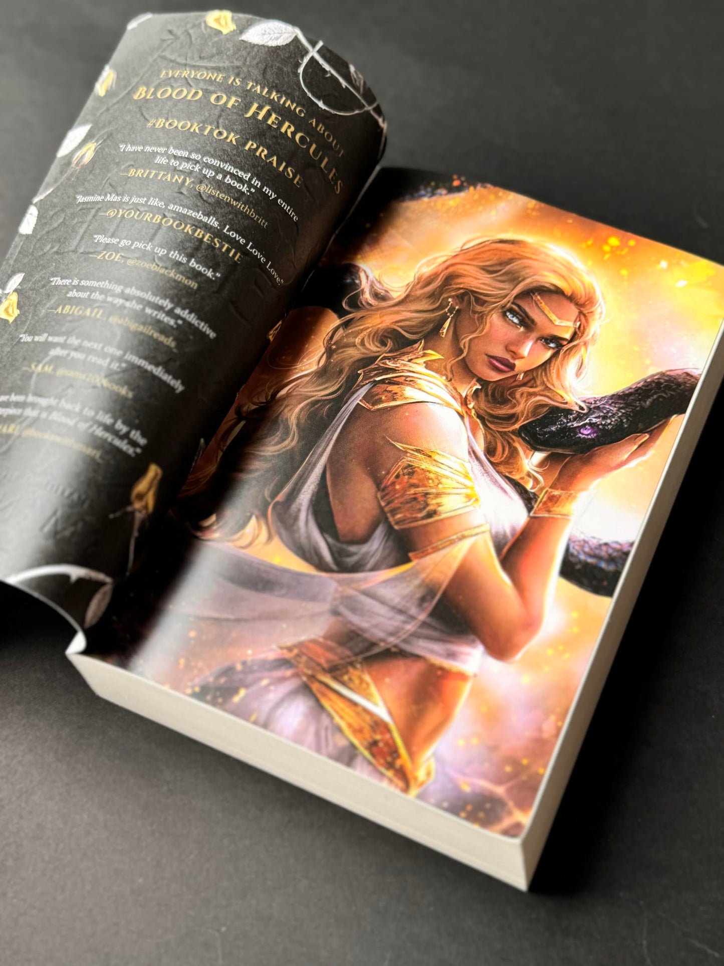 Blood of Hercules: A Dark Fantasy Romance of Myth and Power, Perfect for Fans of Greek Mythology and Spicy BookTok Reads, Discover Hercules Reimagined Like Never Before (Villains of Lore, 1) 