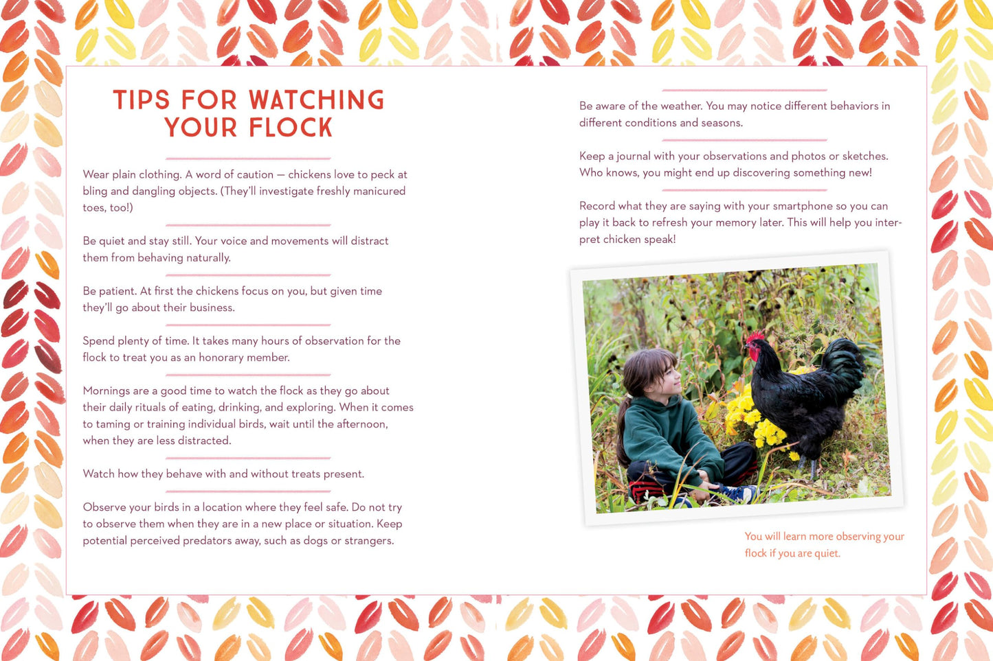 How to Speak Chicken: Why Your Chickens Do What They Do & Say What They Say