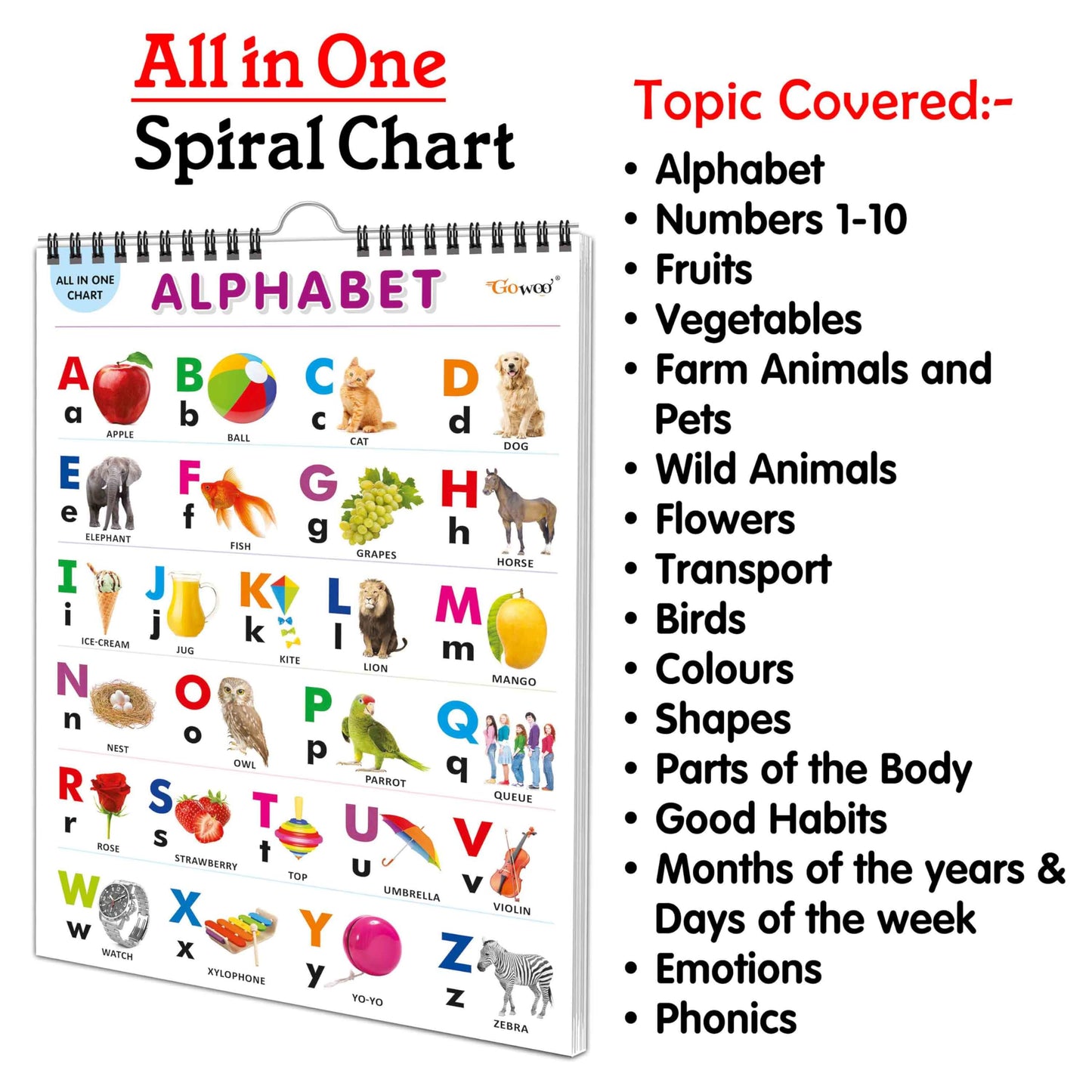 English Chart For Kids (16 Charts) 36 x 50 cm - Children Spiral Wall Picture Chart