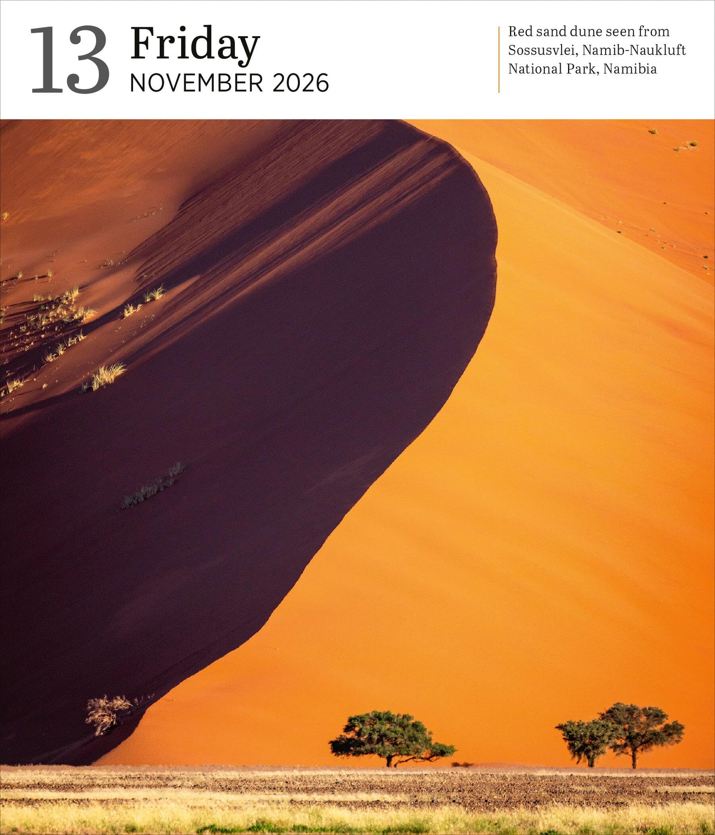 Audubon Nature Page-A-Day® Gallery Calendar 2026 