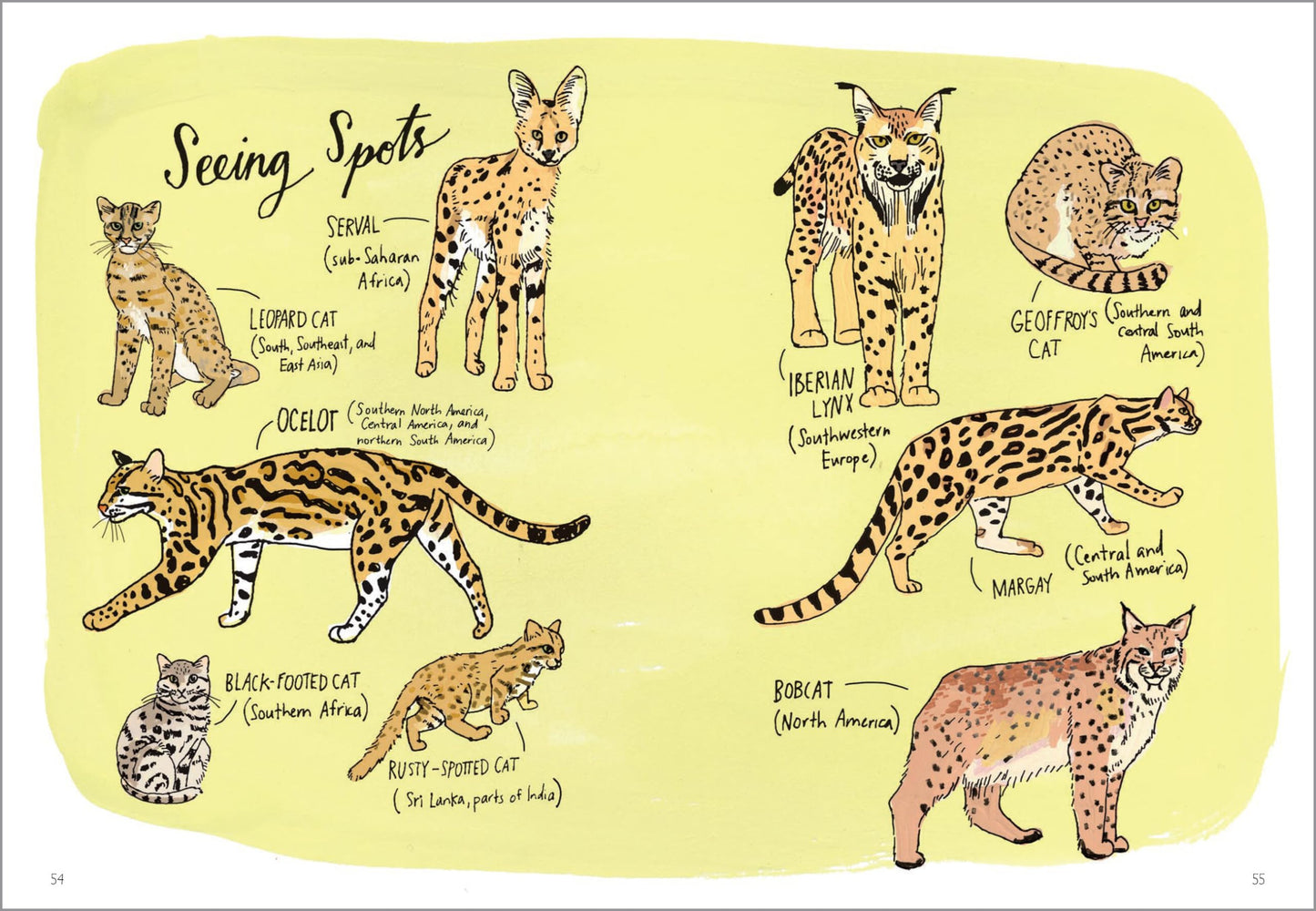 Wildlife Anatomy: The Curious Lives & Features of Wild Animals around the World 