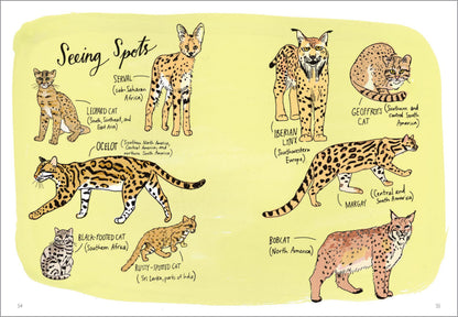 Wildlife Anatomy: The Curious Lives & Features of Wild Animals around the World 