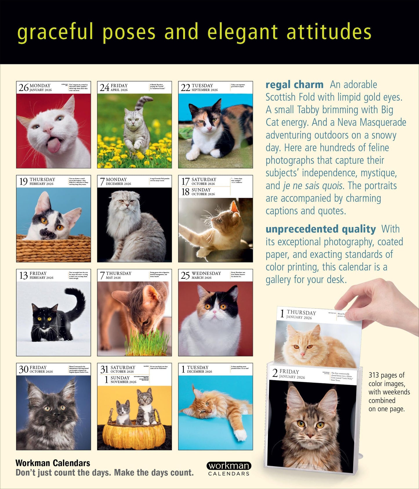 Cat Page-A-Day® Gallery Calendar 2026: A Delightful Gallery of Cats for Your Desktop