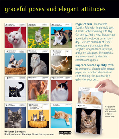 Cat Page-A-Day® Gallery Calendar 2026: A Delightful Gallery of Cats for Your Desktop